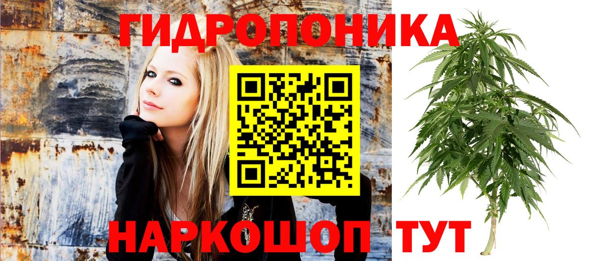 Бошки Шишки OG Kush  Канабис марихуана  Вход с VPN  Гусь-Хрустальный 